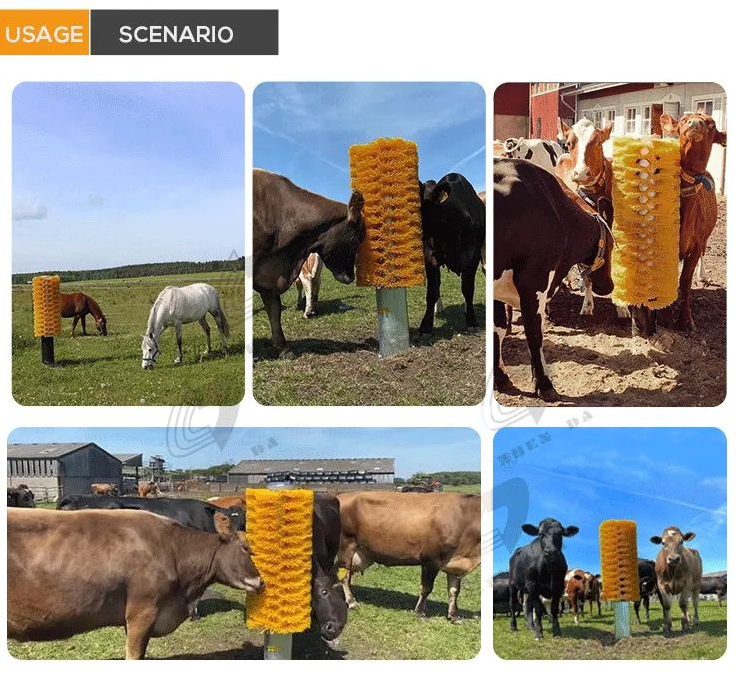 Usage Scenario of Cow Brush